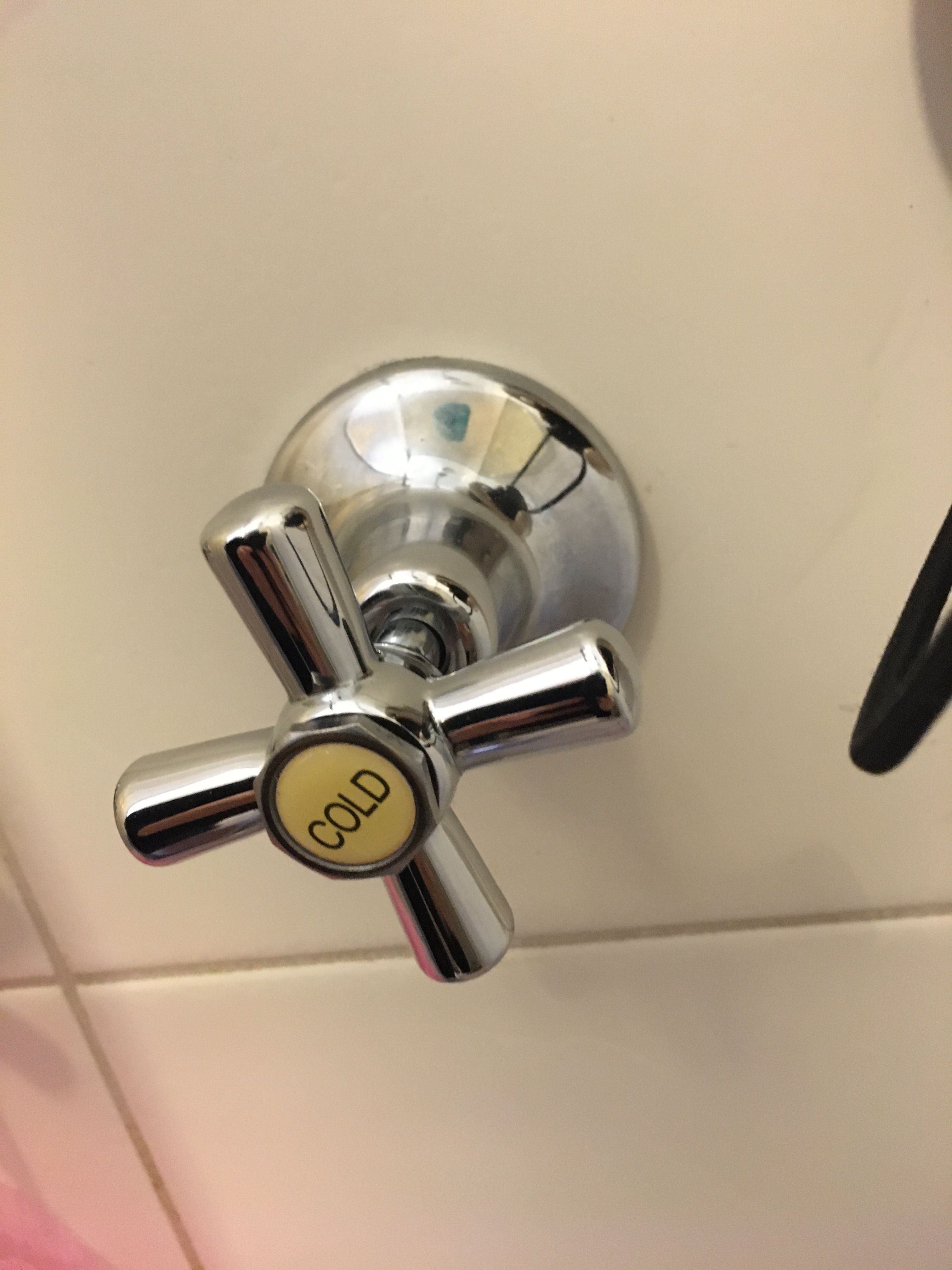 Shower Valve DIY or plumber fix? Bunnings community
