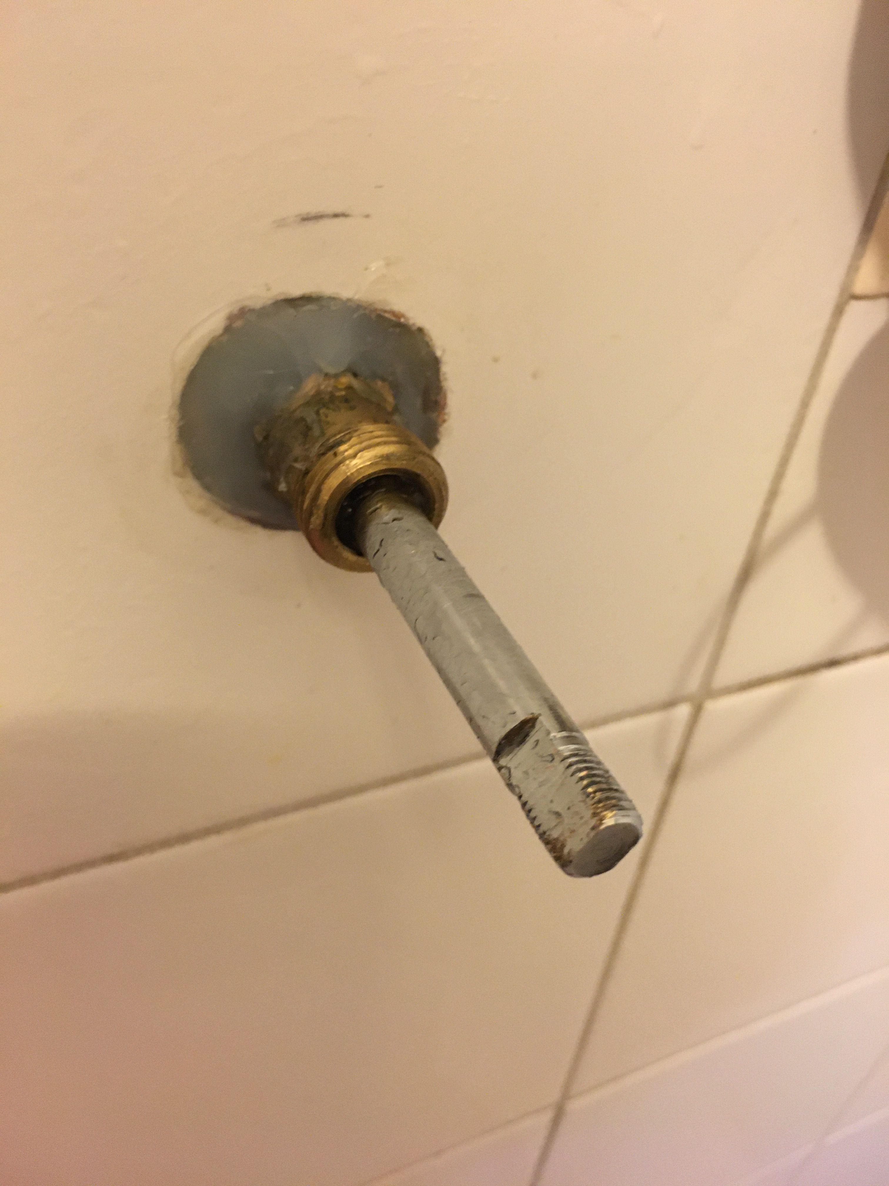 Shower Valve DIY or plumber fix? Bunnings community