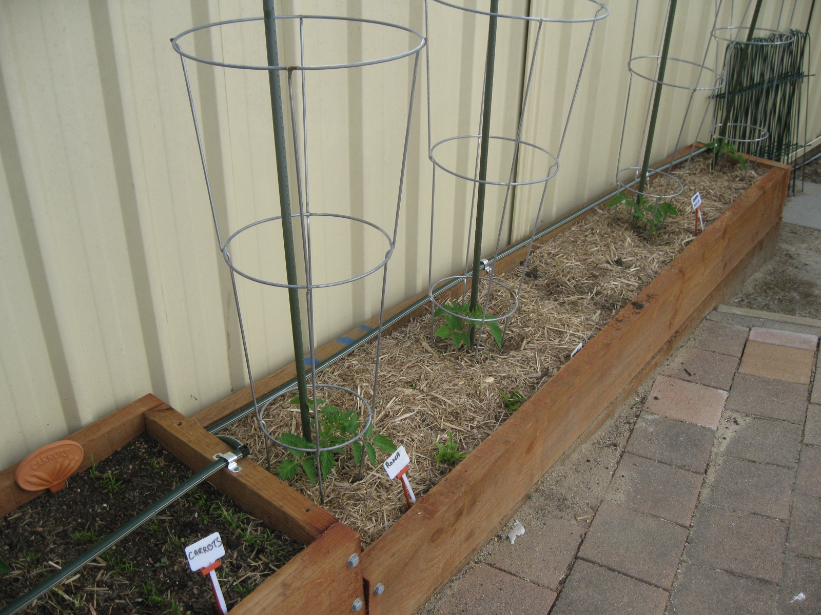Ultra cheap and easy irrigation system u... Bunnings community
