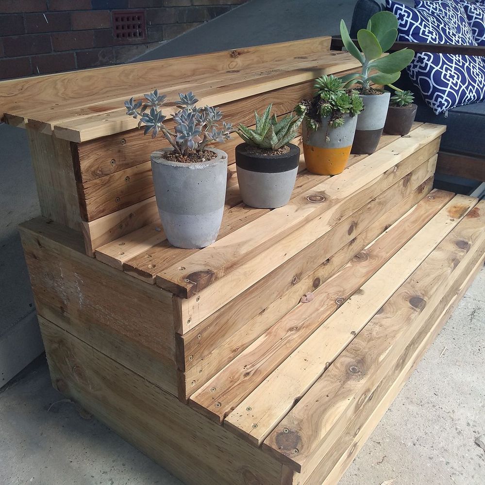 6.3 Completed Stand with Plants.jpg