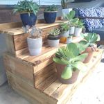 6.4 Complete with Plants.jpg