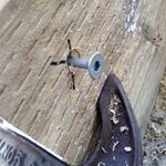 3.2 Installing screws through base board into upright.jpg