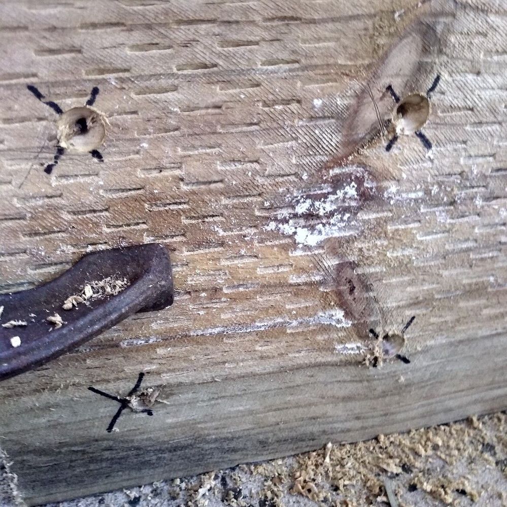 3.1 Predrilling and countersinking base board.jpg