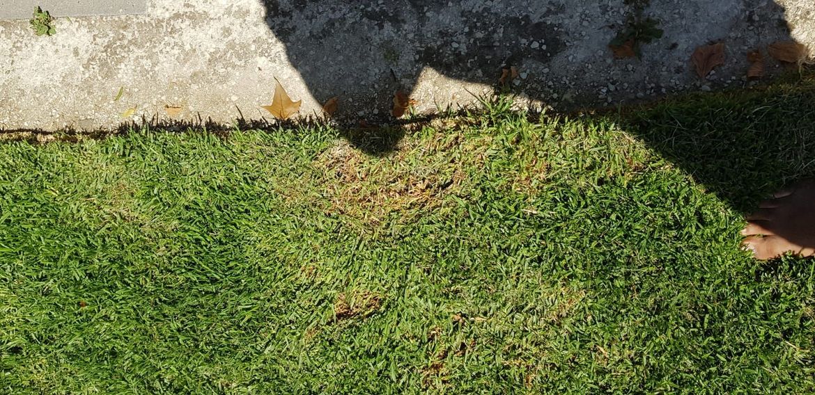 WhatsApp Image 2021-02-23 at 13.13.28.jpeg