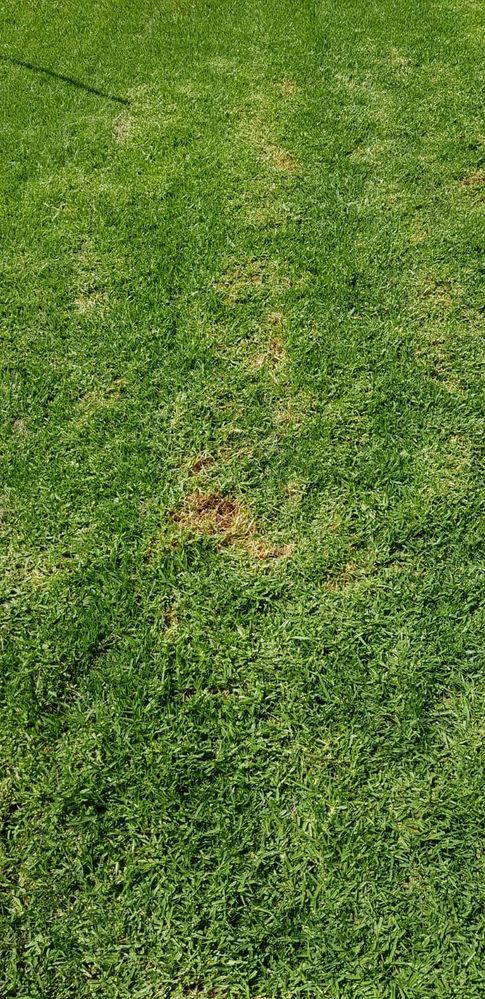 WhatsApp Image 2021-02-23 at 13.13.29.jpeg