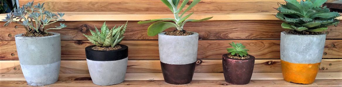 How to make cement planter pots | Bunnings Workshop community