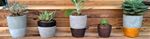 Hero Concrete Pots.jpg