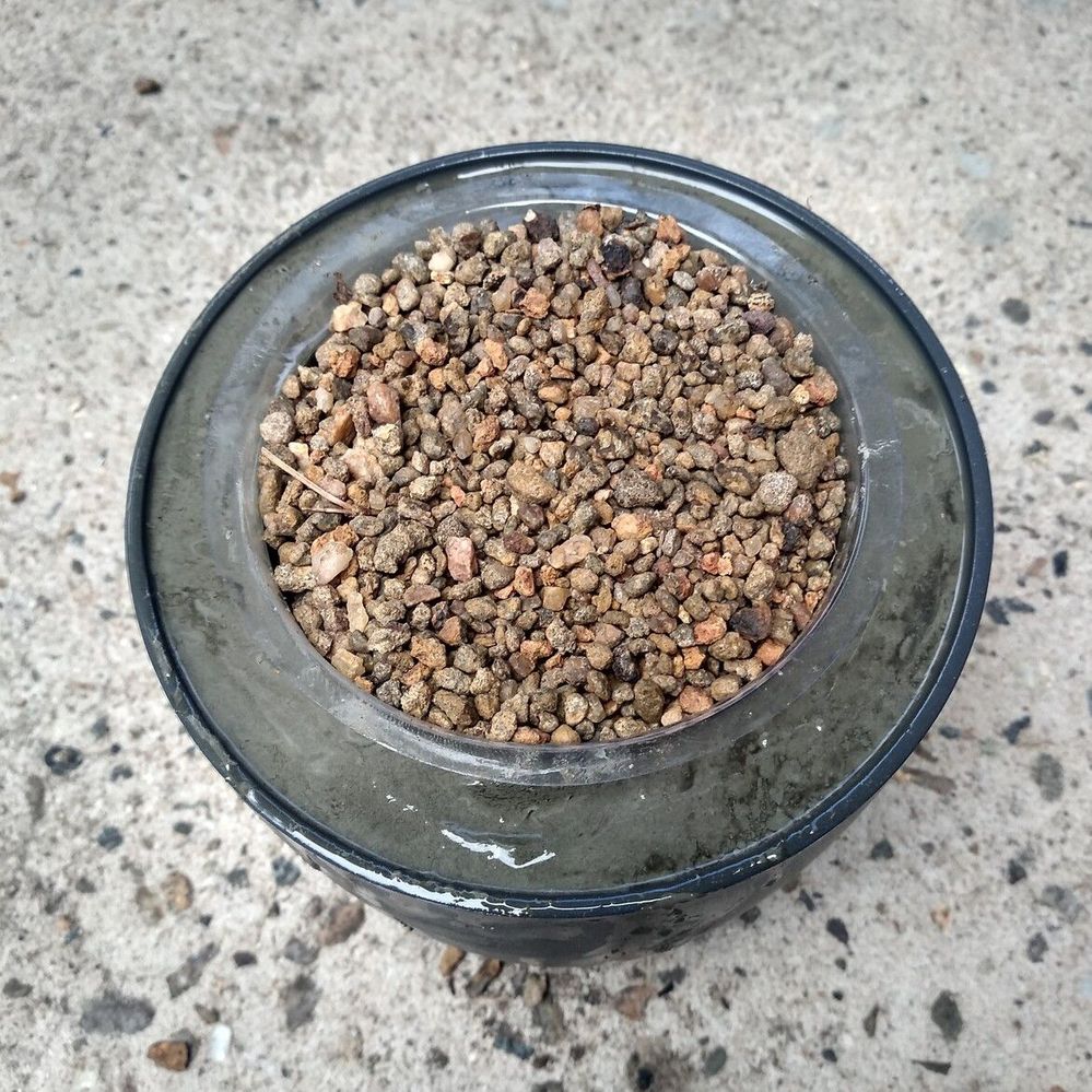 2.3 Internal form pushed into wet mix and weighted.jpg