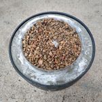 3.1 Cement cured after 24 hours.jpg