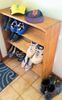 shoe rack.jpg