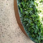 7.4 Plant material cut to size.jpg