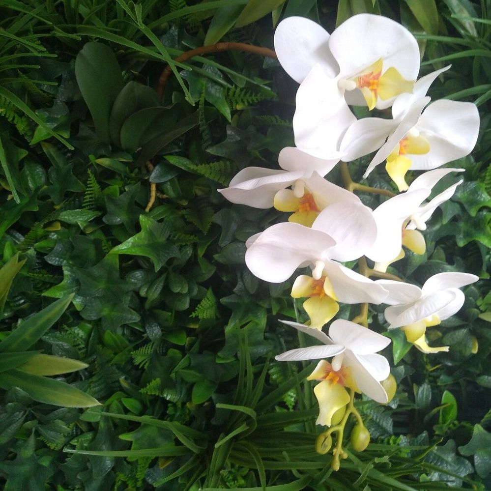 10.3 Added adornment.jpg