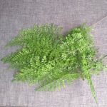 10.1 Extra plant material.jpg