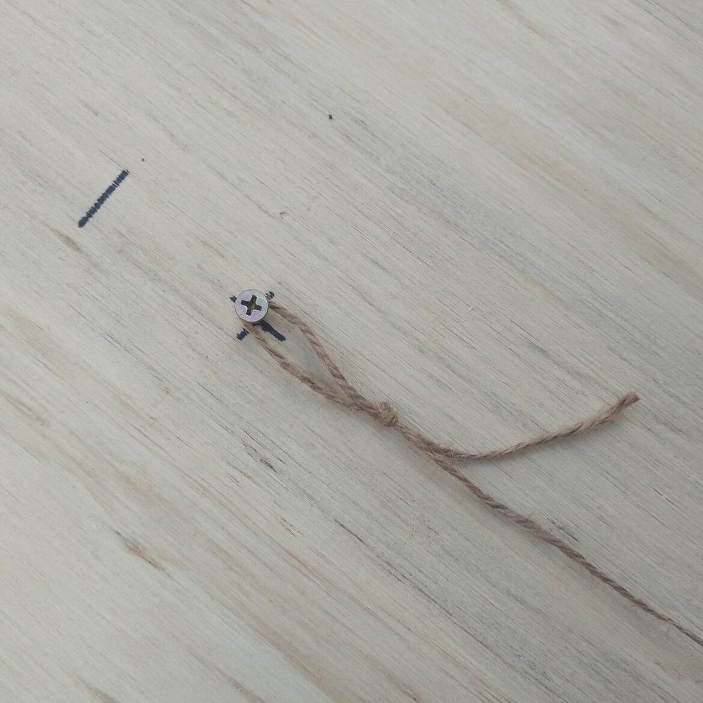 1.5 Looped string for screw.jpg