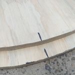 2.3 Reference marks and cut circles.jpg