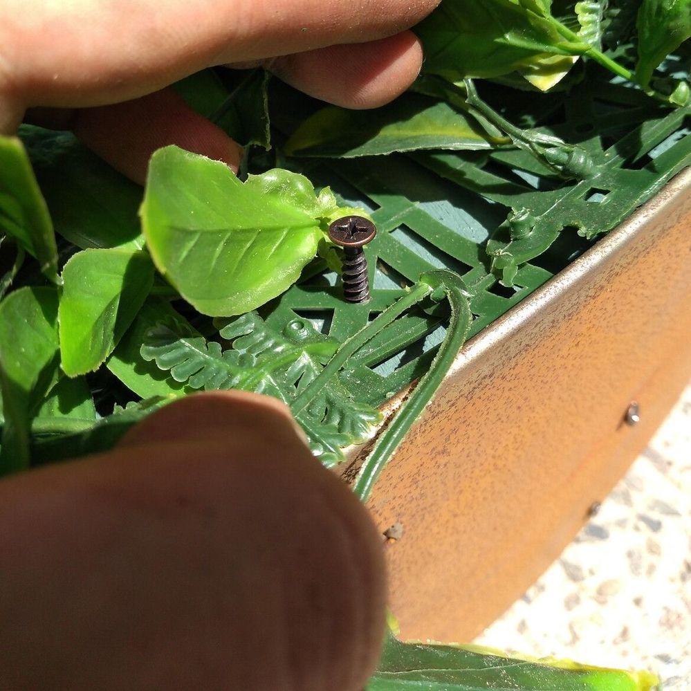 7.2 Fixing plant material onto board.jpg