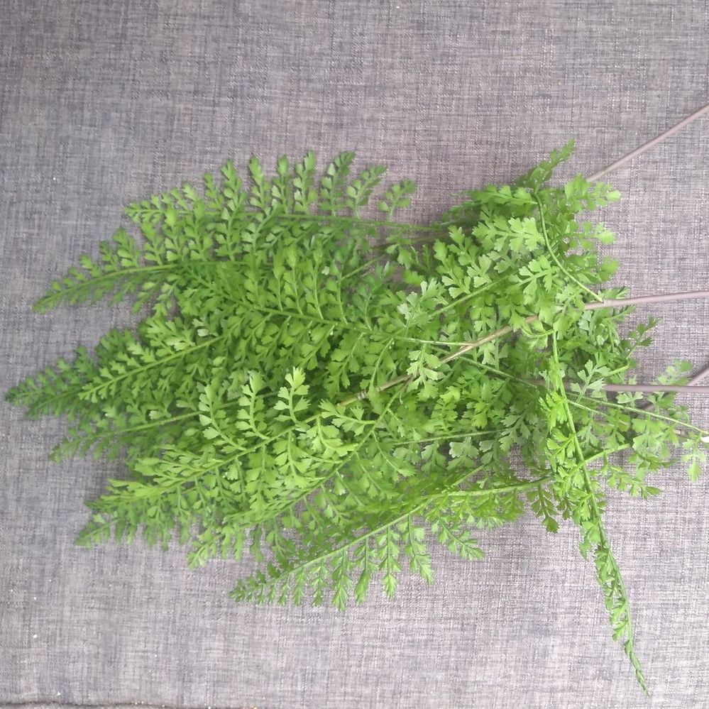 10.1 Extra plant material.jpg