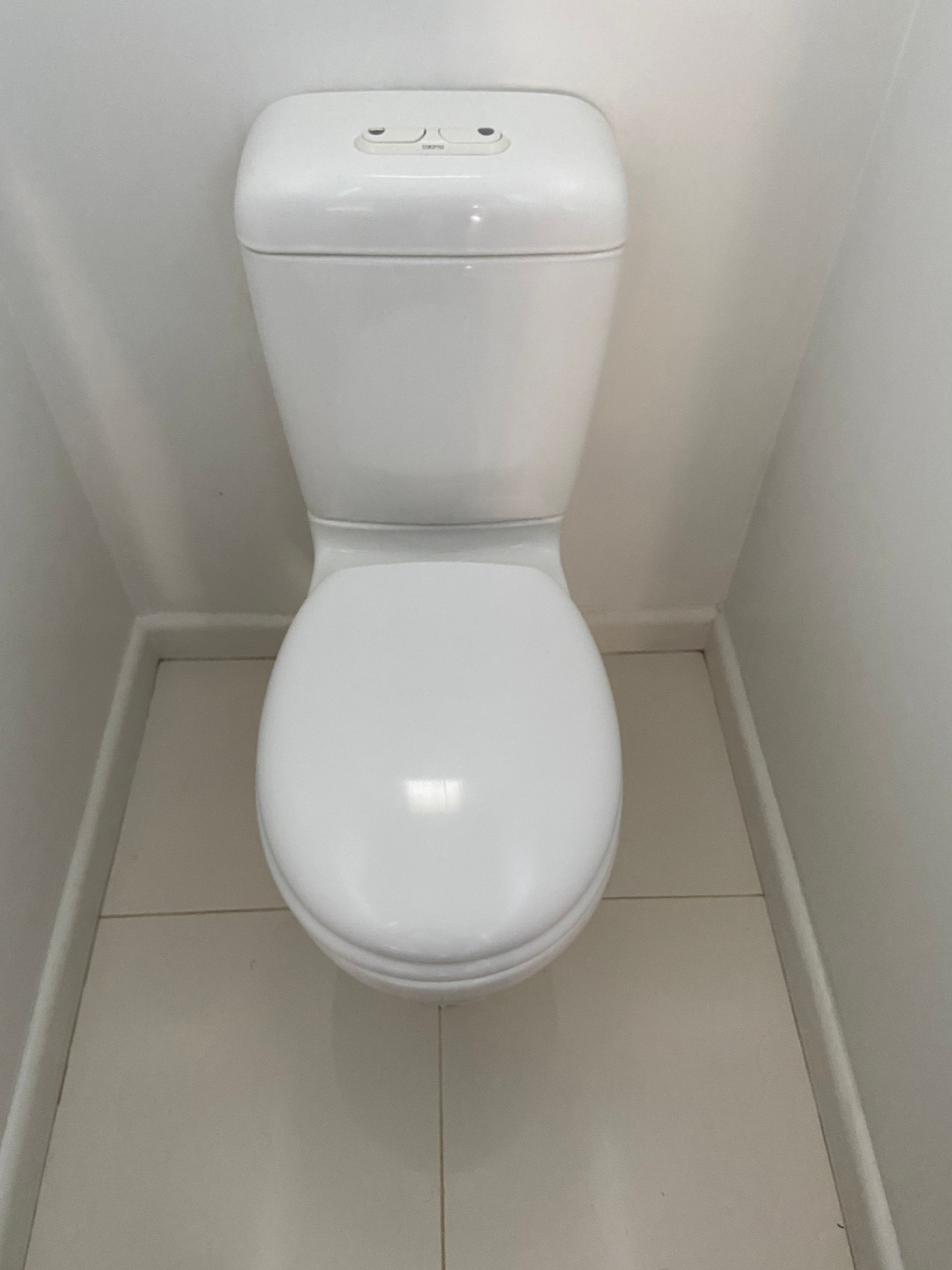 What to do about constantly dripping toi... Bunnings community