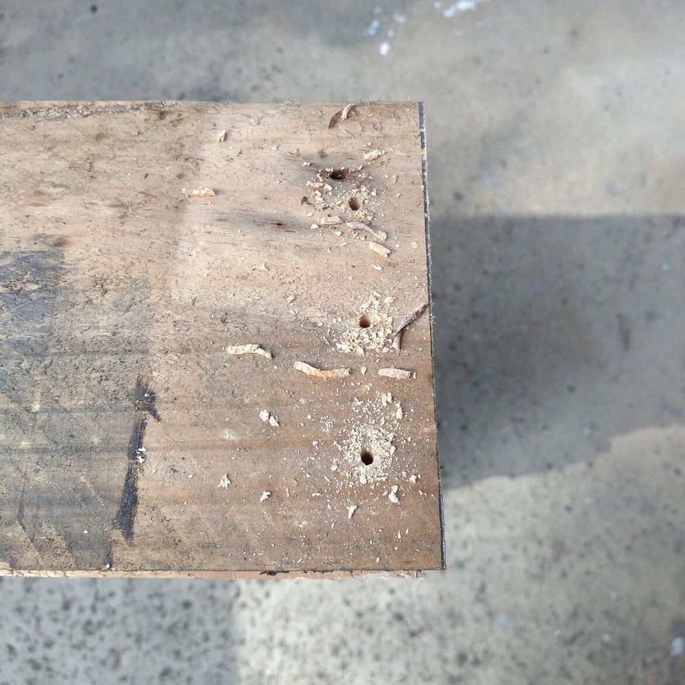 3.4 Pre-drilling baseboard..jpg