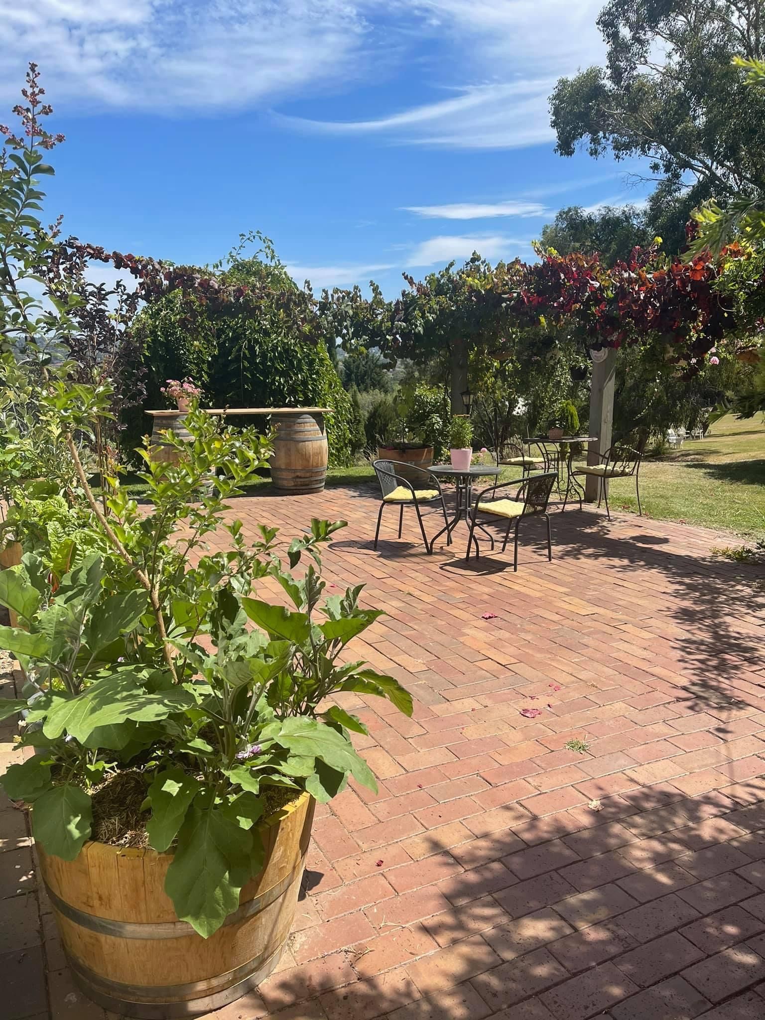 Veggie project 2 Wine barrels as garde... Bunnings community