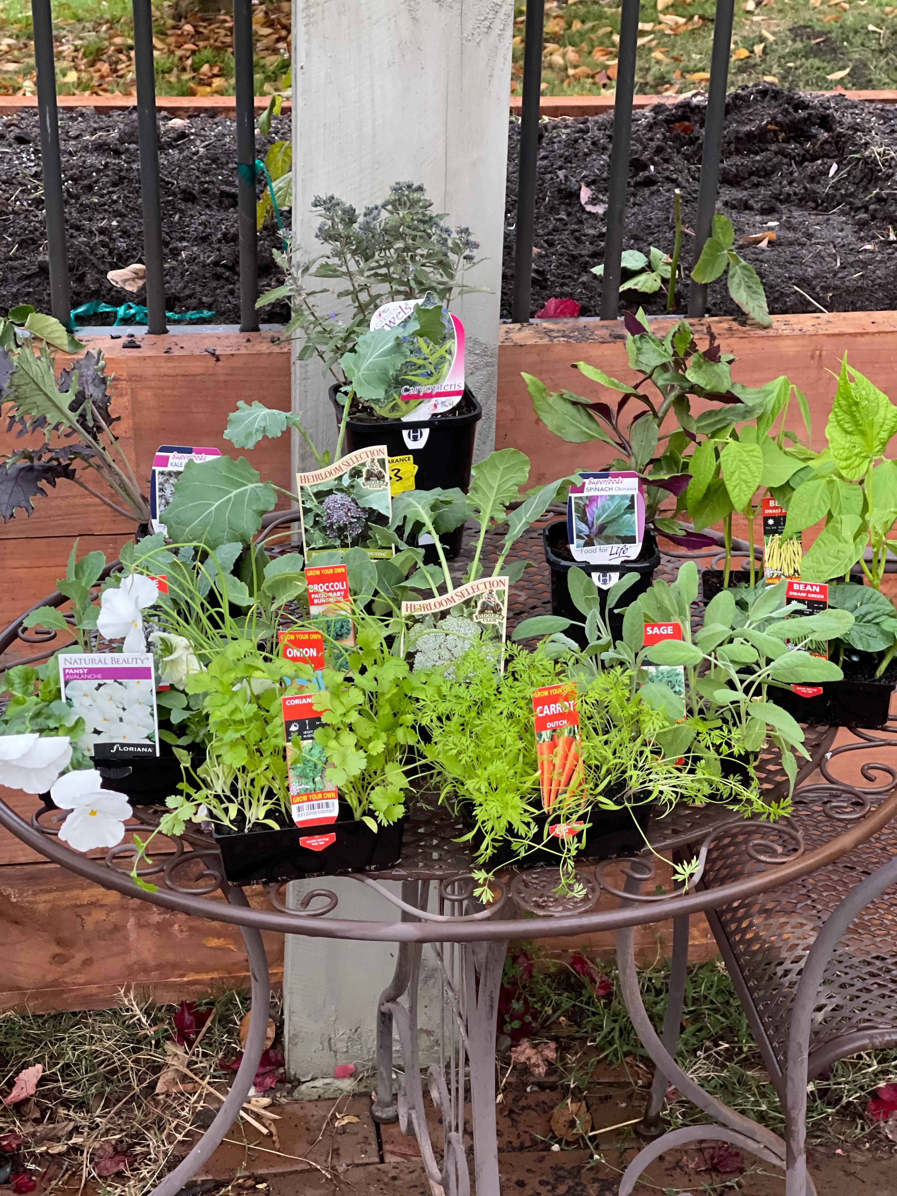 Raised garden bed using pine sleepers Bunnings community