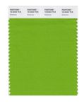 Do-You-Like-Pantone-Color-2017-Greenery.jpg