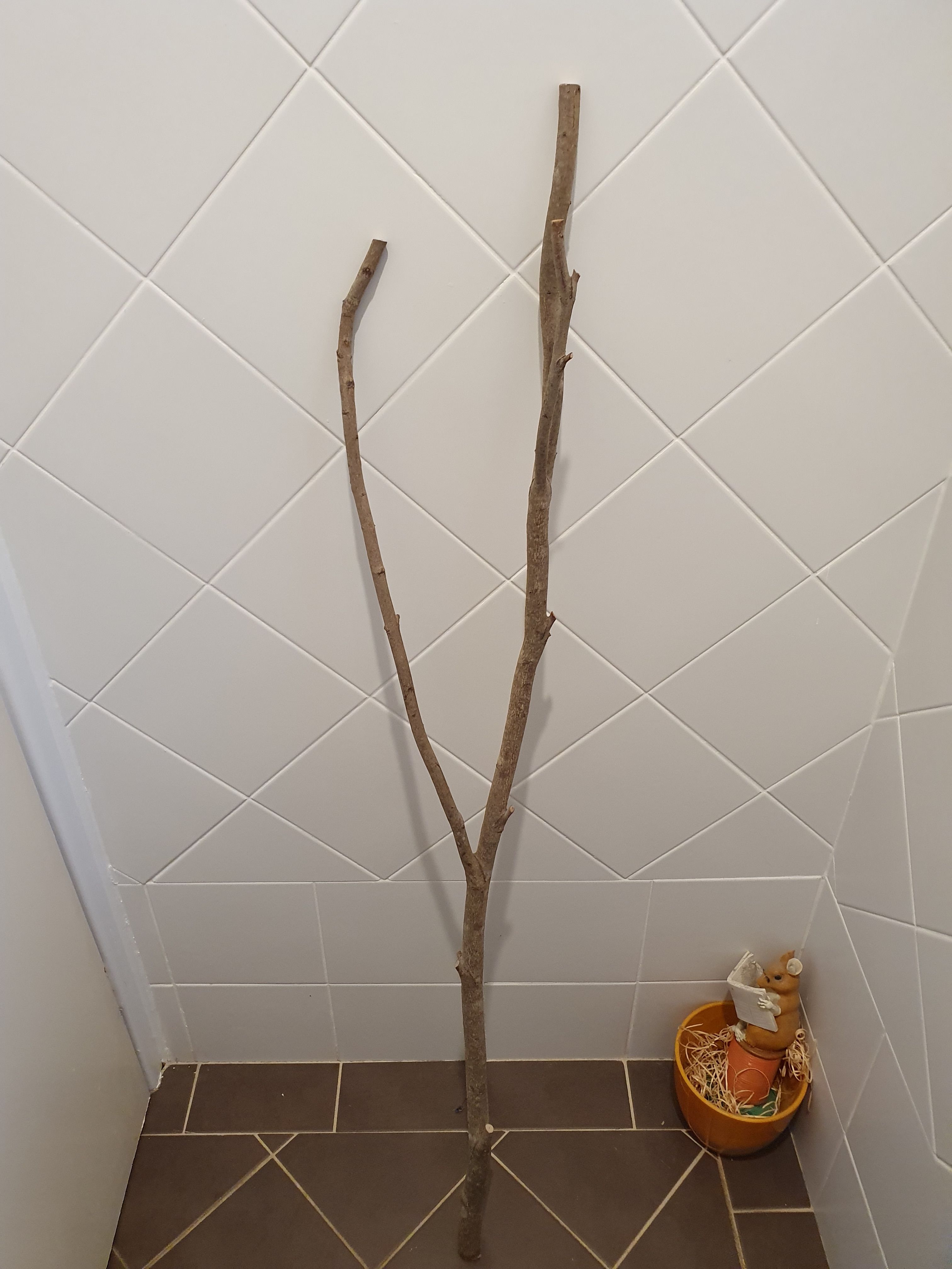 Toilet Paper Holder Bunnings community