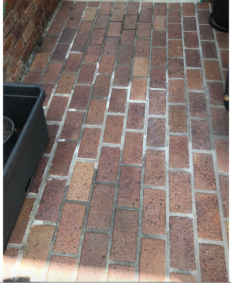 Section of paving regrouted recently.  Note the  white in the 'mix'