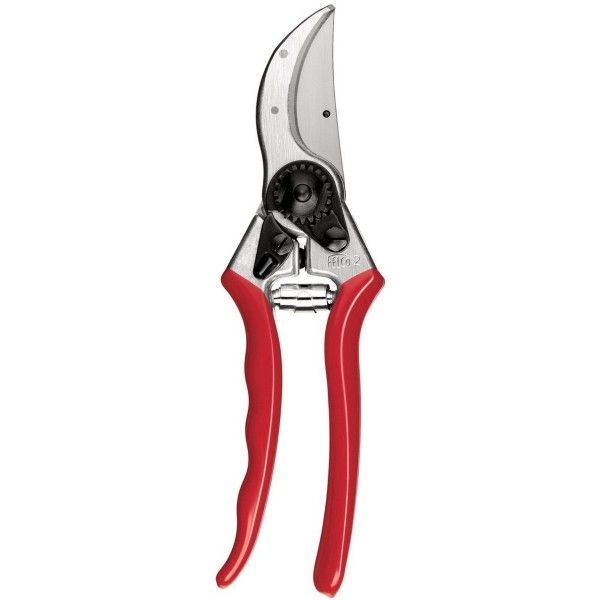 Secateurs.jpeg