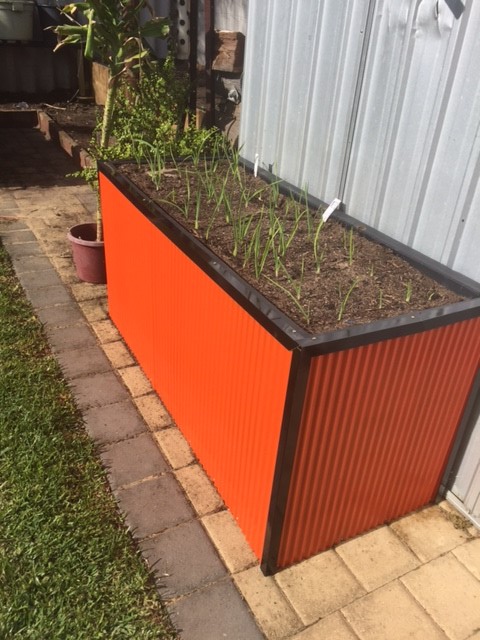 Raised garden beds | Bunnings Workshop community