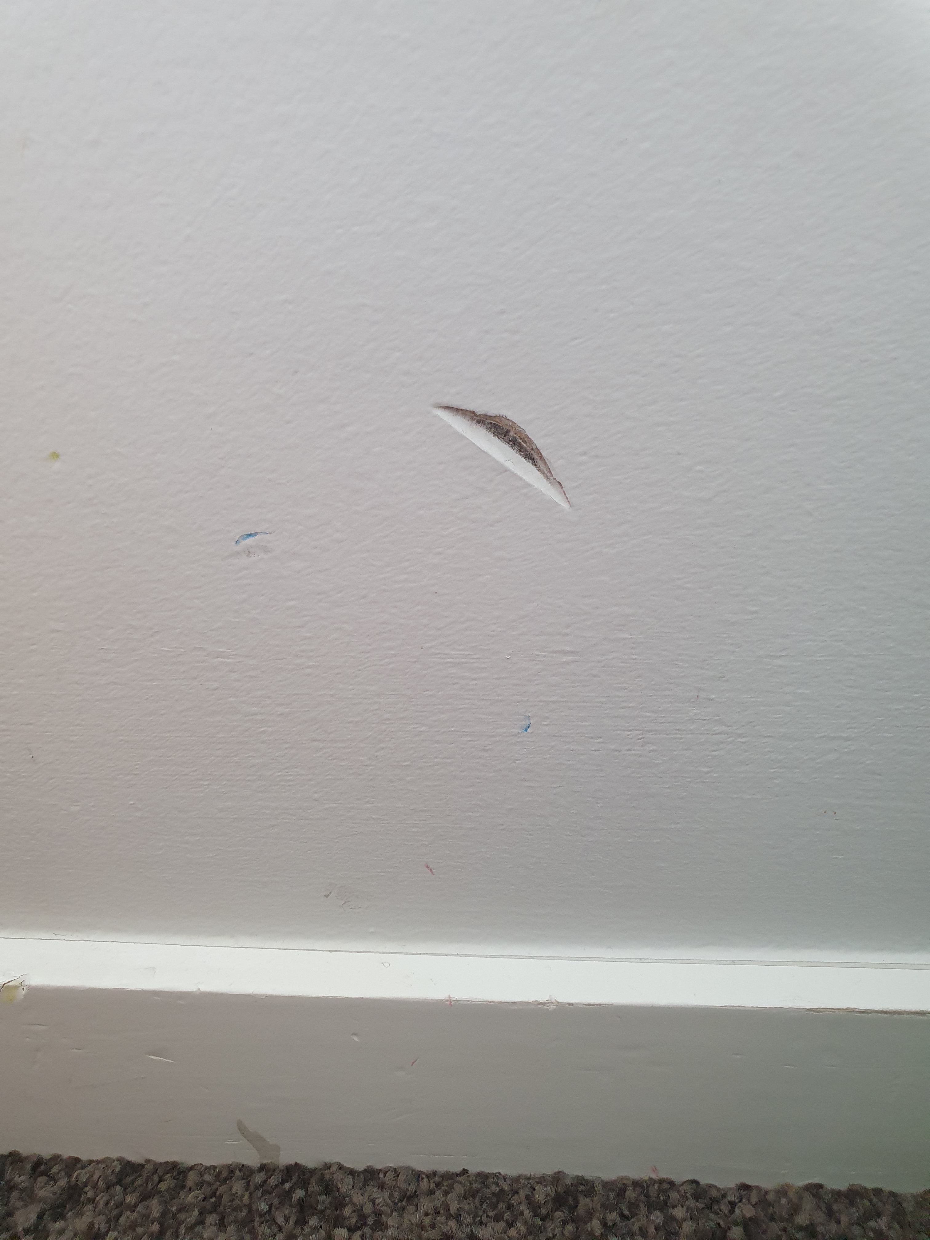 How to repair small holes in wall? Bunnings community