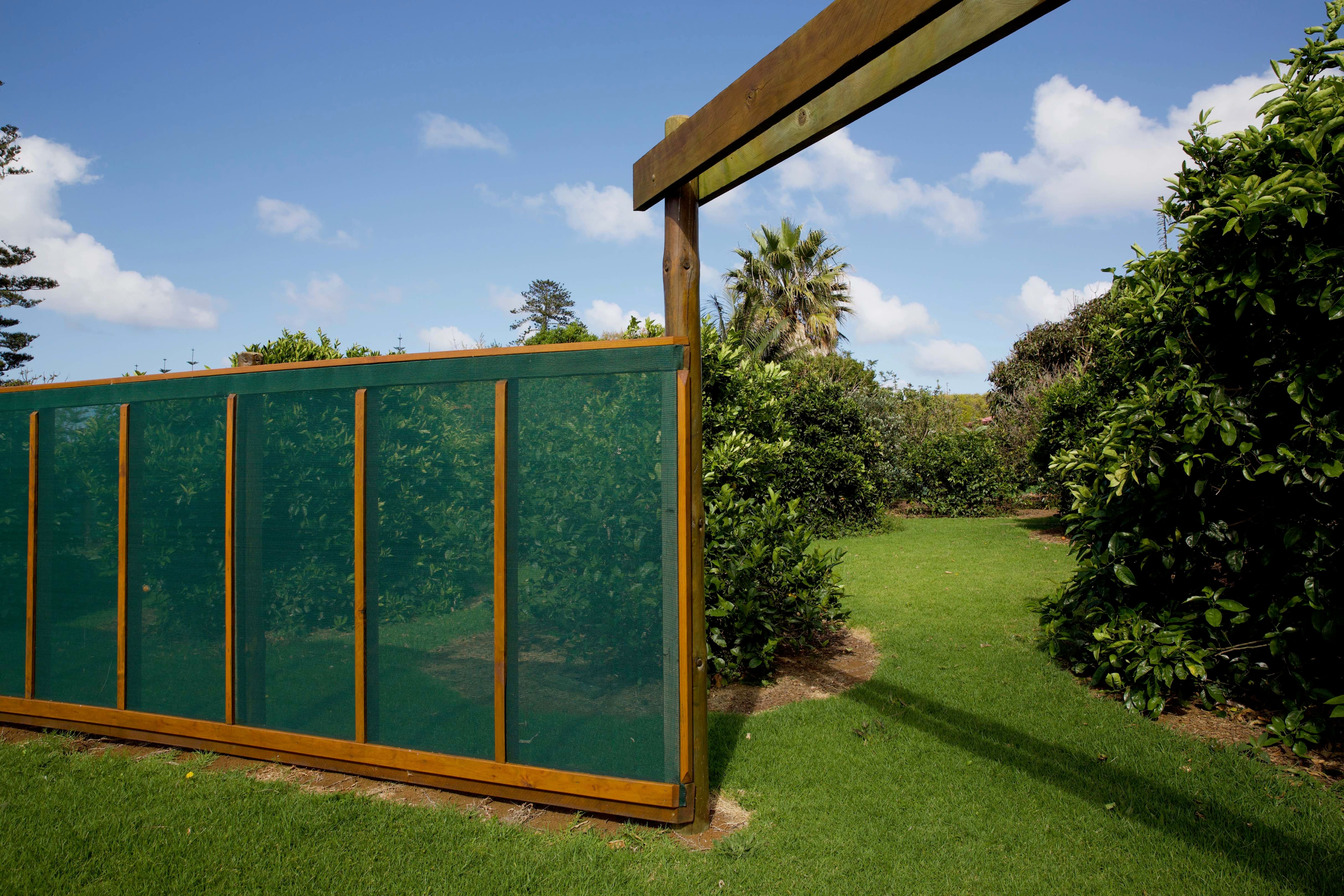 How to create a challenging windbreak Bunnings community