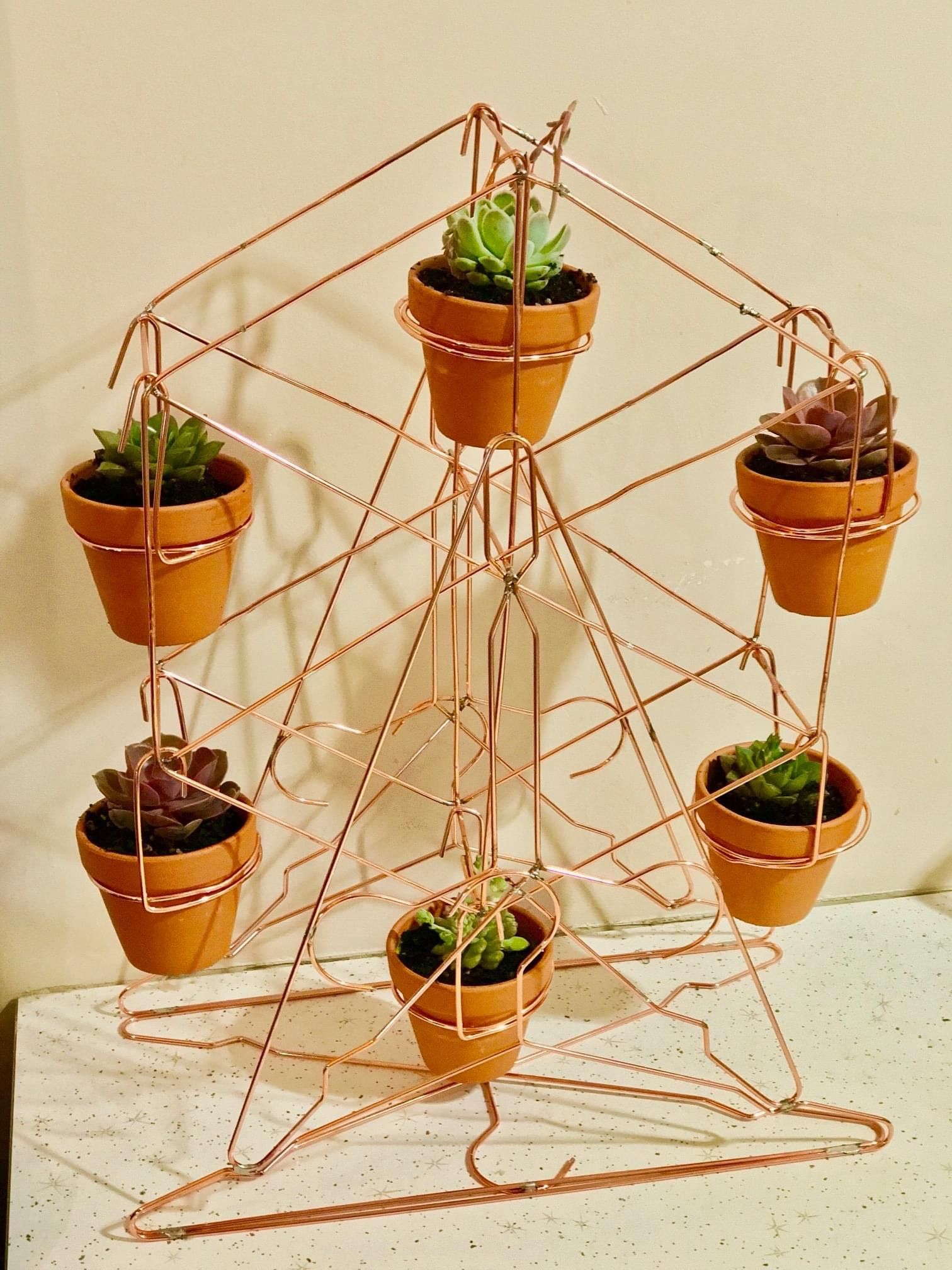 Pot plant ferris wheel Bunnings community