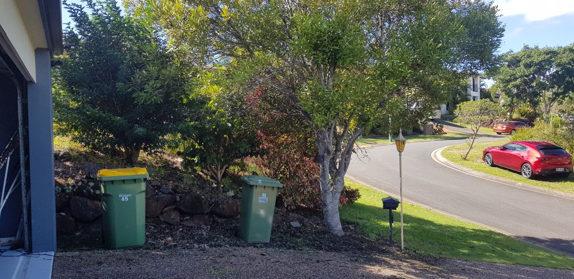 After clearing all the weeds and grasses