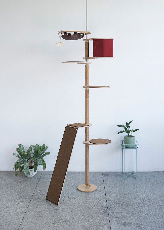 Solved Looking to design and build a cat tree Bunnings