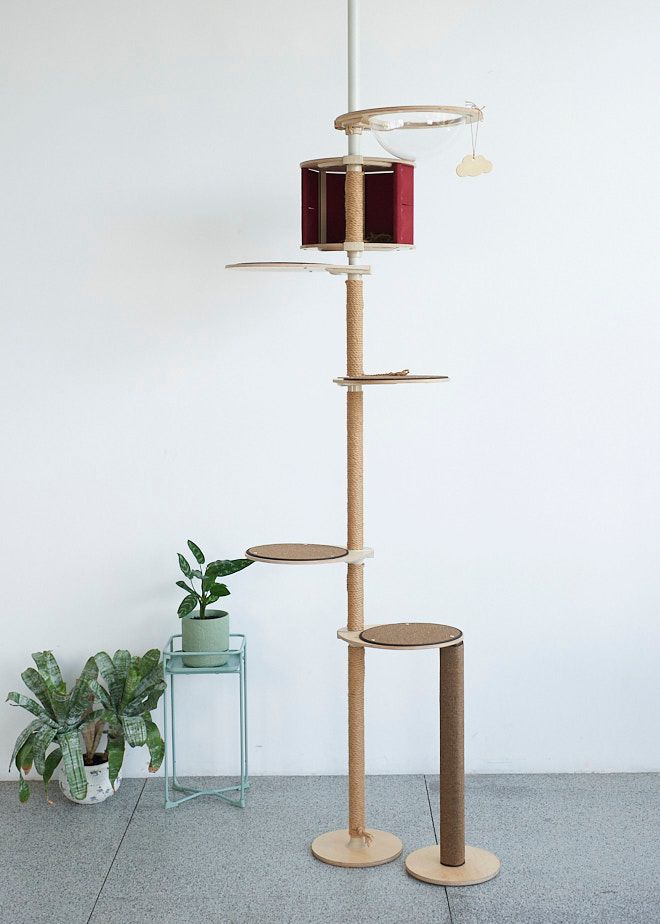 Solved Looking to design and build a cat tree Bunnings