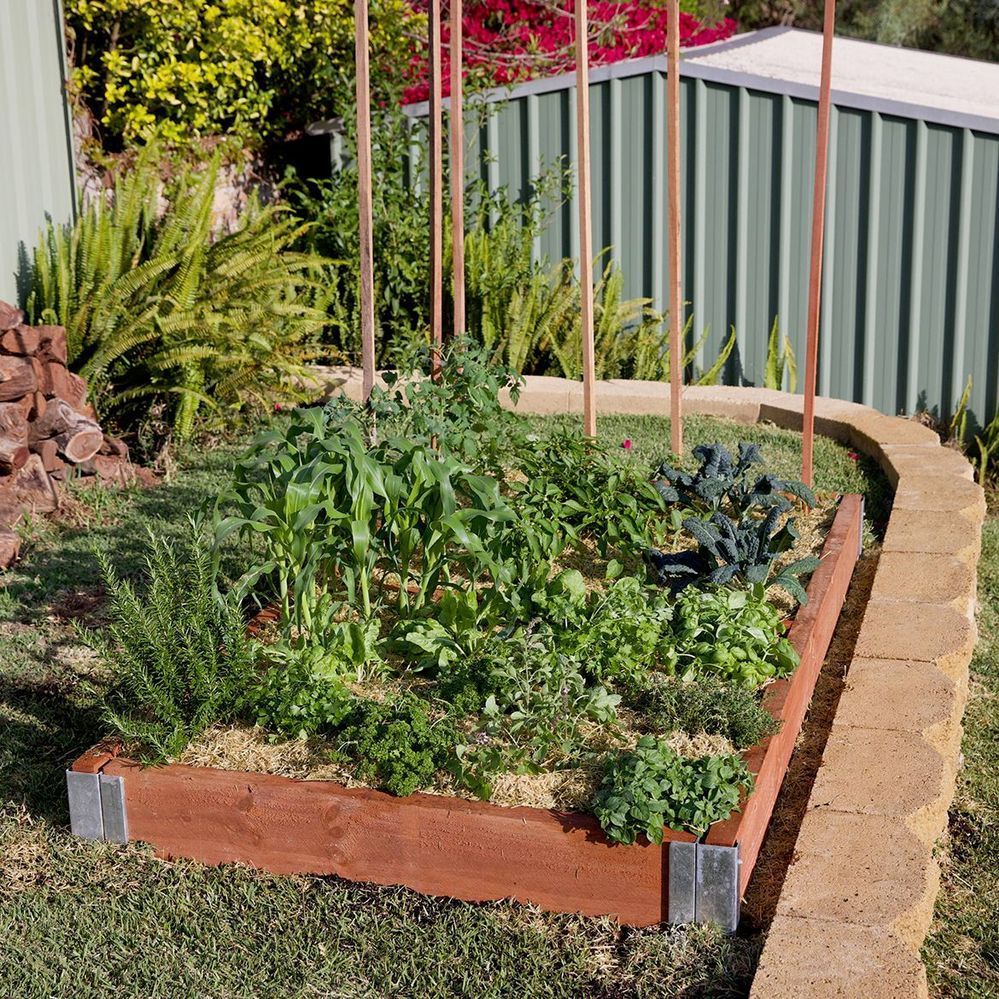 simple raised garden bed.jpg