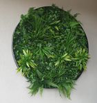 Artificial greenery circles.jpg