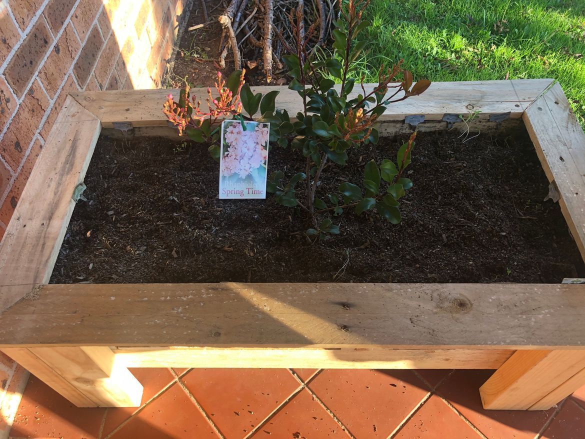 Pallet timber raised garden bed Bunnings community