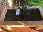 planter box recycled timber.jpeg
