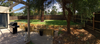 backyard.png