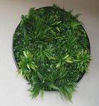 Artificial greenery circles.jpeg