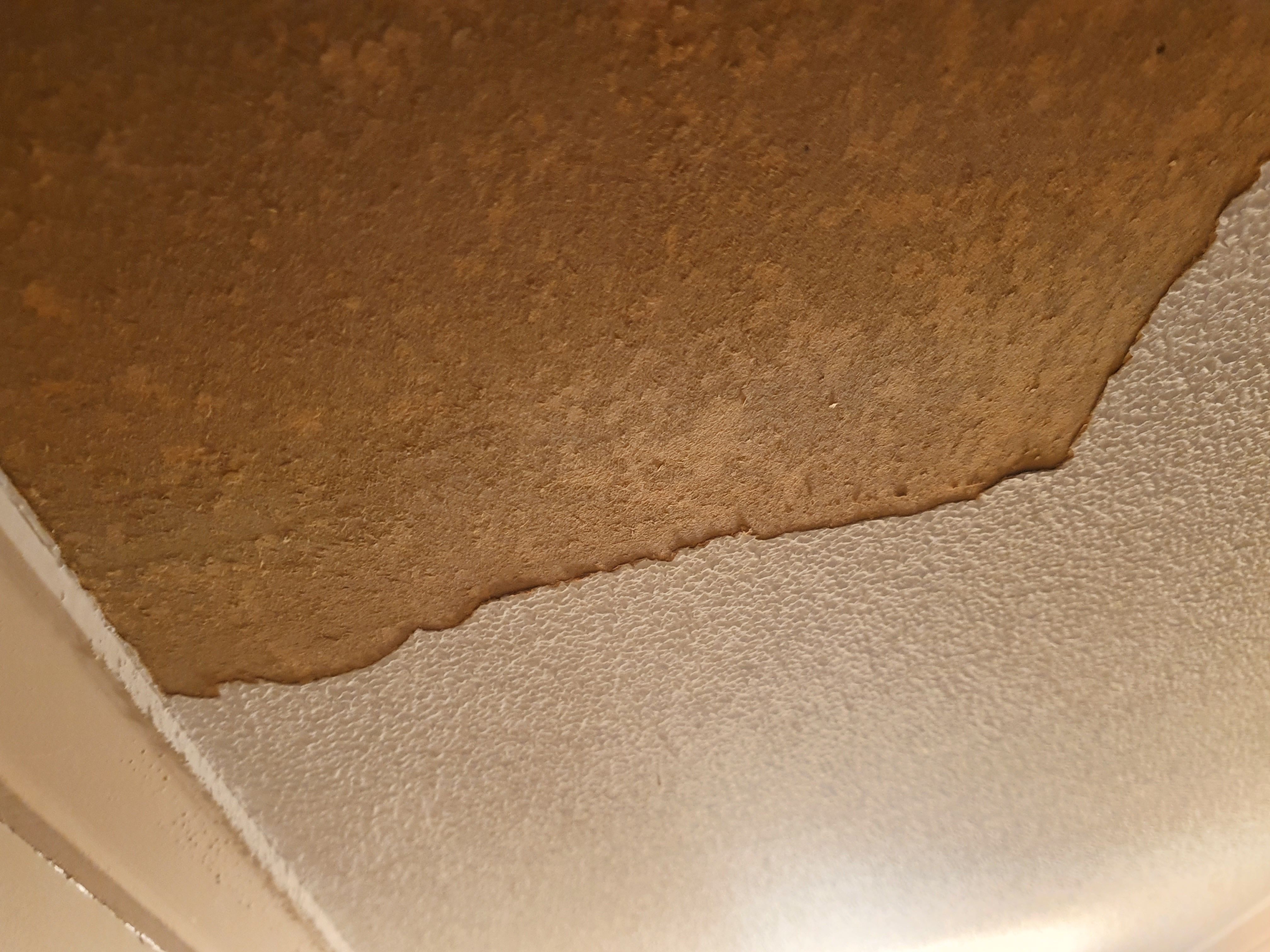 How do I remove textured paint from ceil... Bunnings community