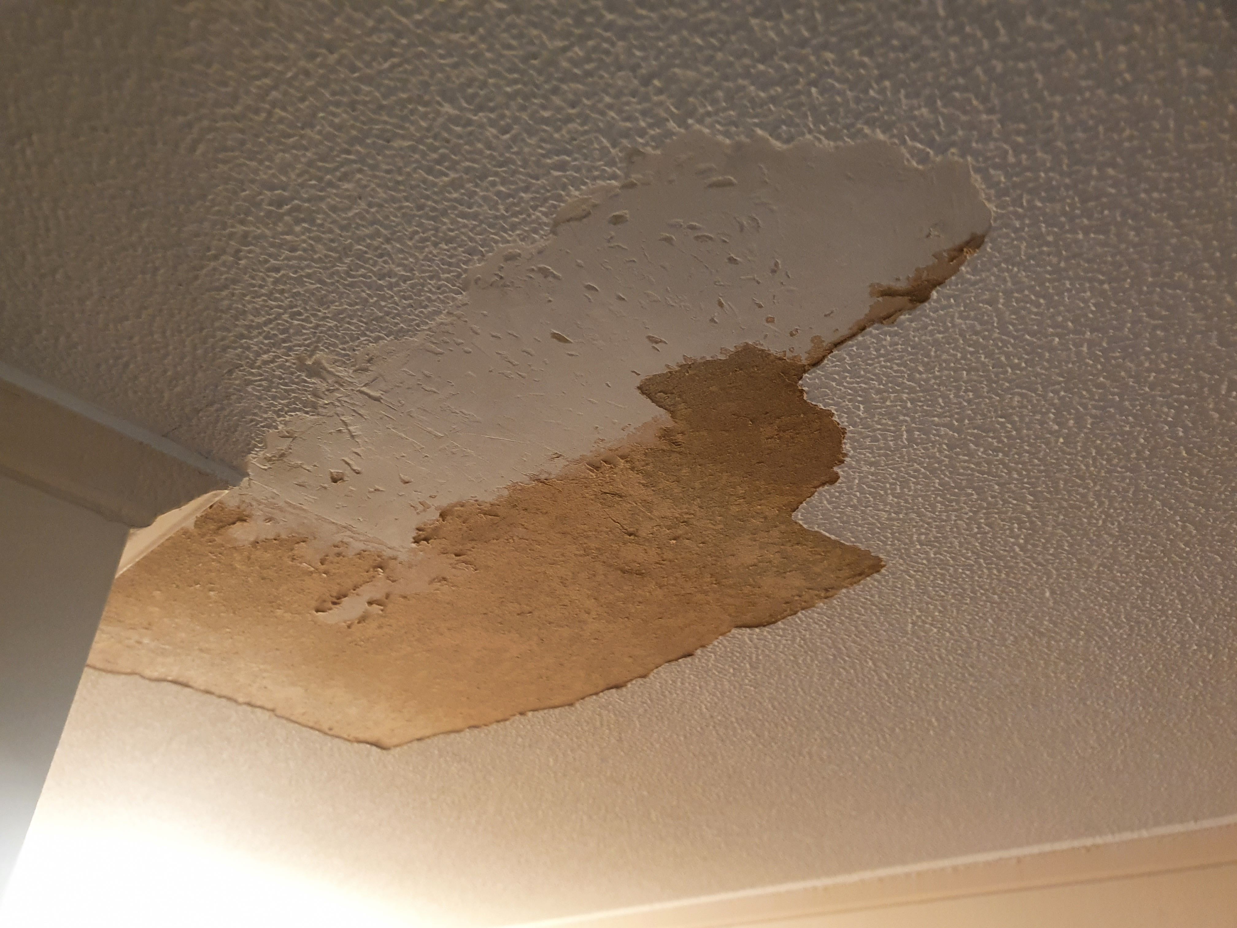 How do I remove textured paint from ceil... Bunnings community