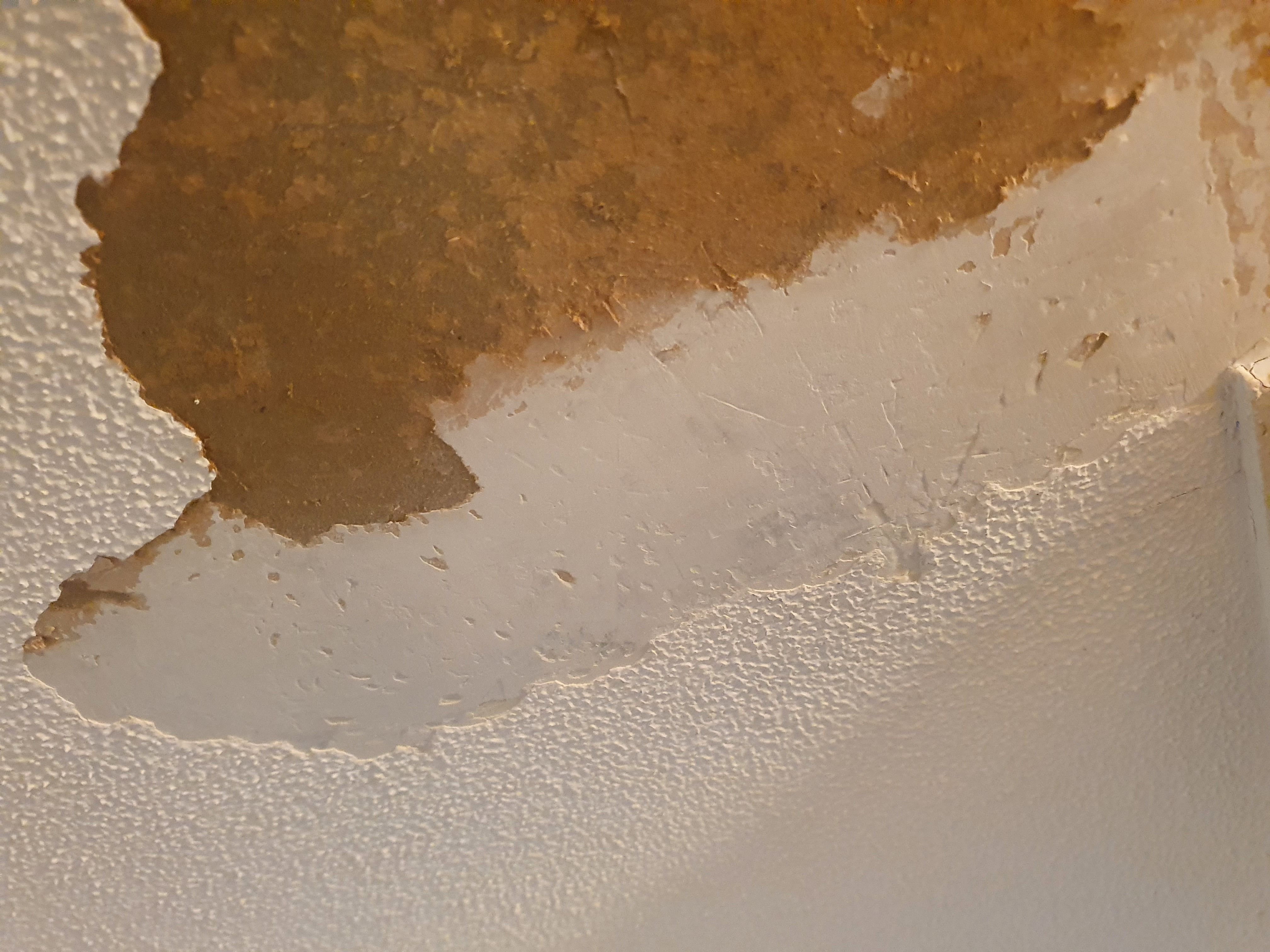 How do I remove textured paint from ceil... Bunnings community