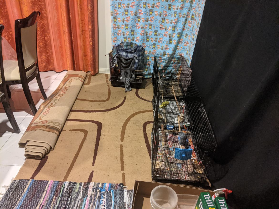 Area to enclose ( the L )