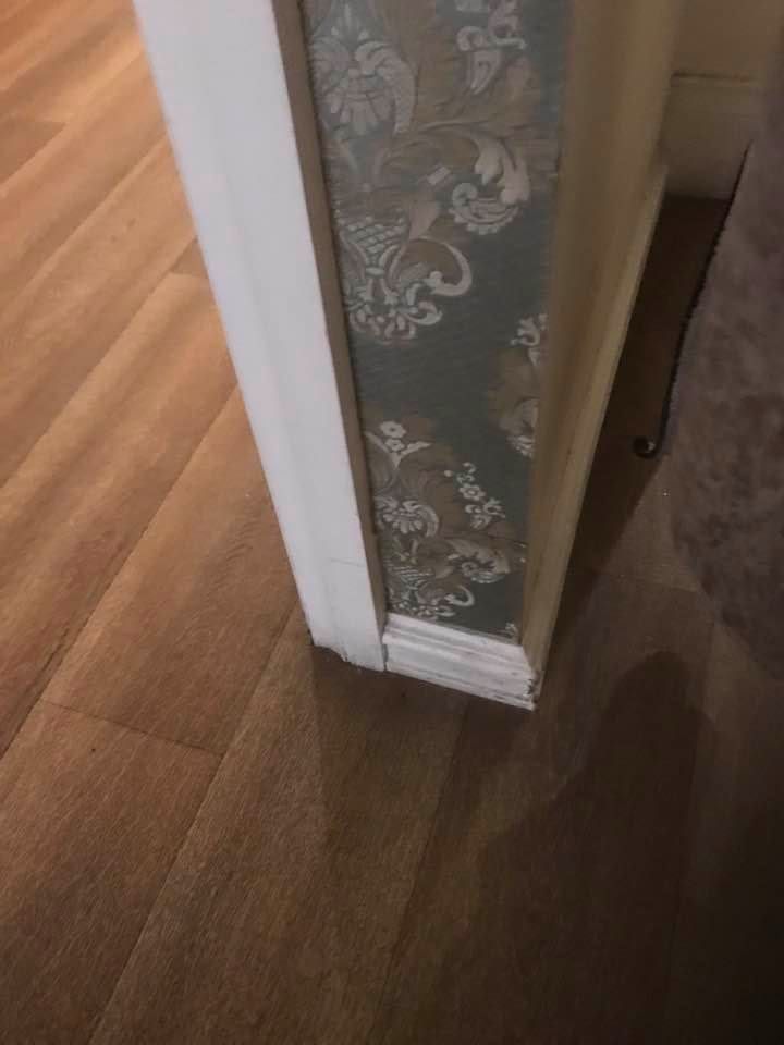 Solved Remove sticky tape from wallpaper Bunnings community