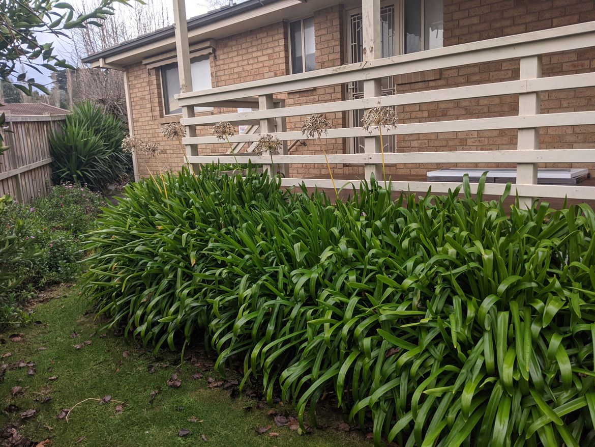 2021 AGP Photo 2.jpg