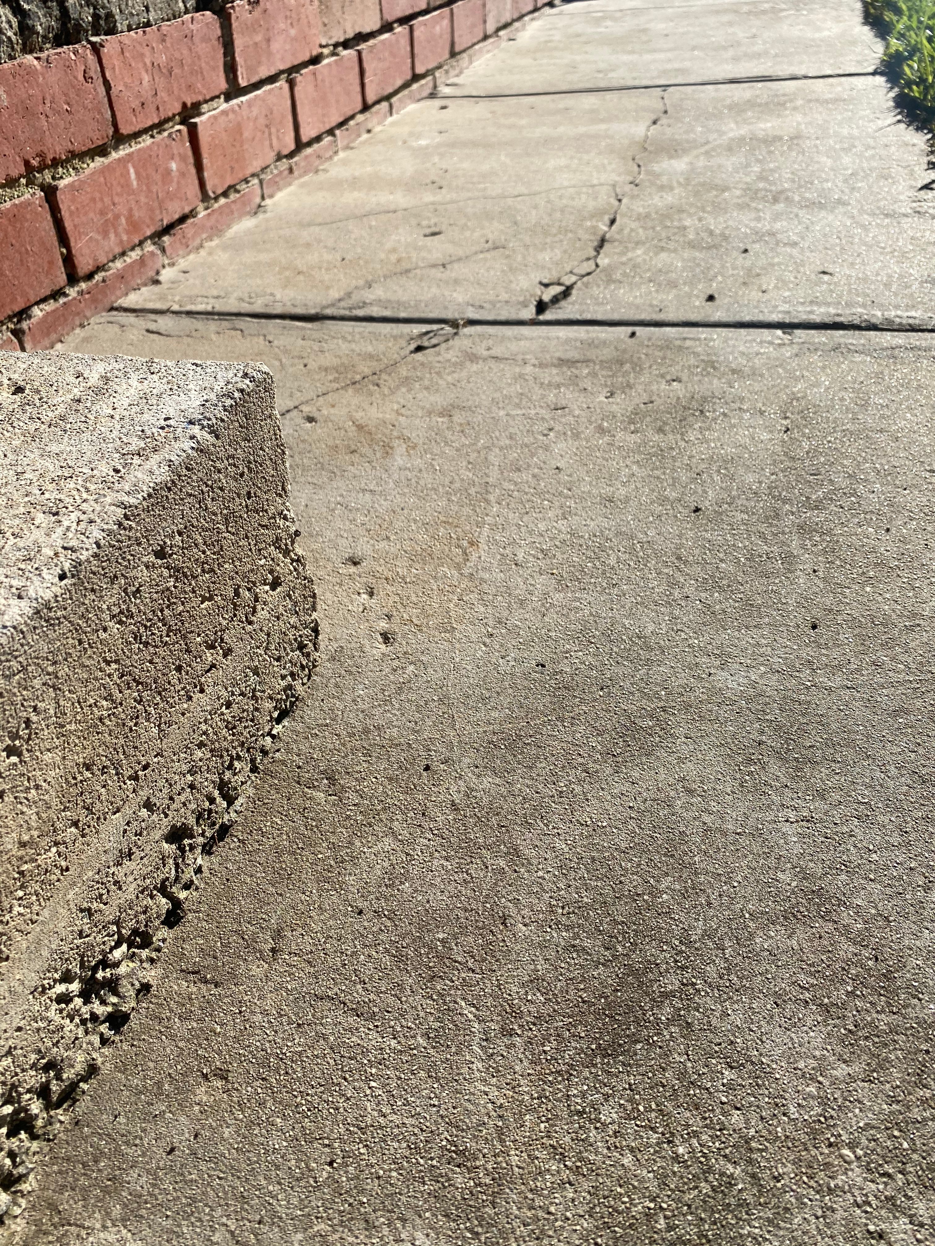 Patio Concrete Slabs Dropped Bunnings Workshop Community