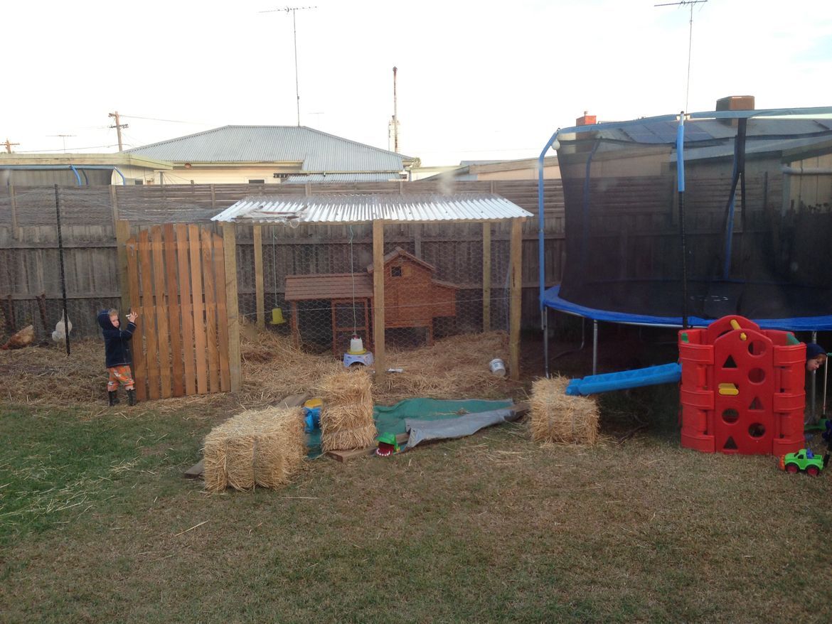 D.I.Y. chicken coop project Bunnings community